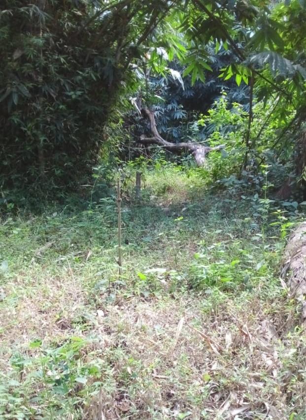 C:\Users\Lavinia Pde\AppData\Local\Microsoft\Windows\INetCache\Content.Word\IMG_20220418_122619.jpg